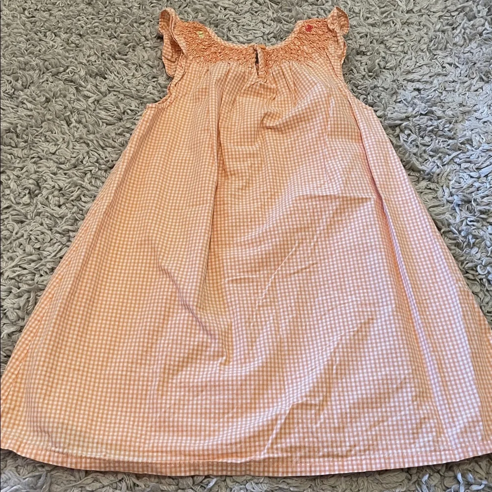 2010 Gymboree Outlet “Social Butterfly” Gingham Dress, Size 5